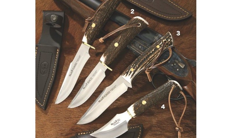 cuchillos pointer braco teckel 800x478 - Muela Spanish Knives